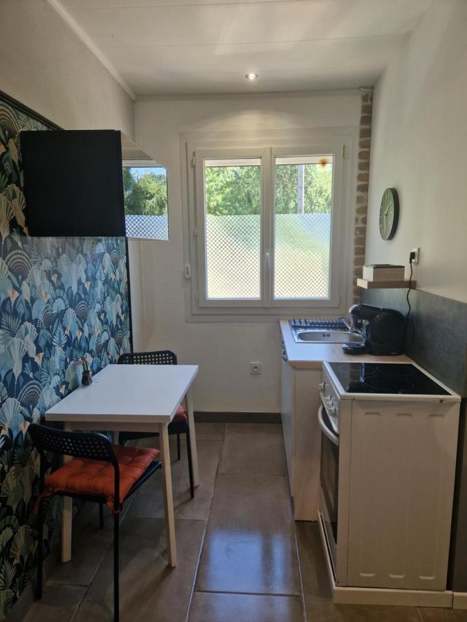 Appartement Independant Dans Maison Avec Jardinet, Au Calme Sérézin-du-Rhône エクステリア 写真